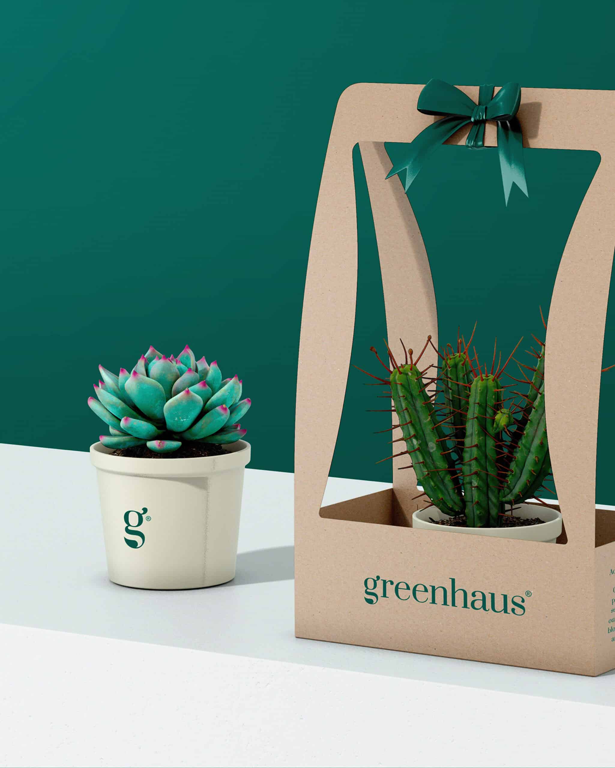 Vibrant potted succulent and cactus plant set against a modern packaging design, emphasizing sustainable branding and eco-friendly gifting solutions by Greenhaus.